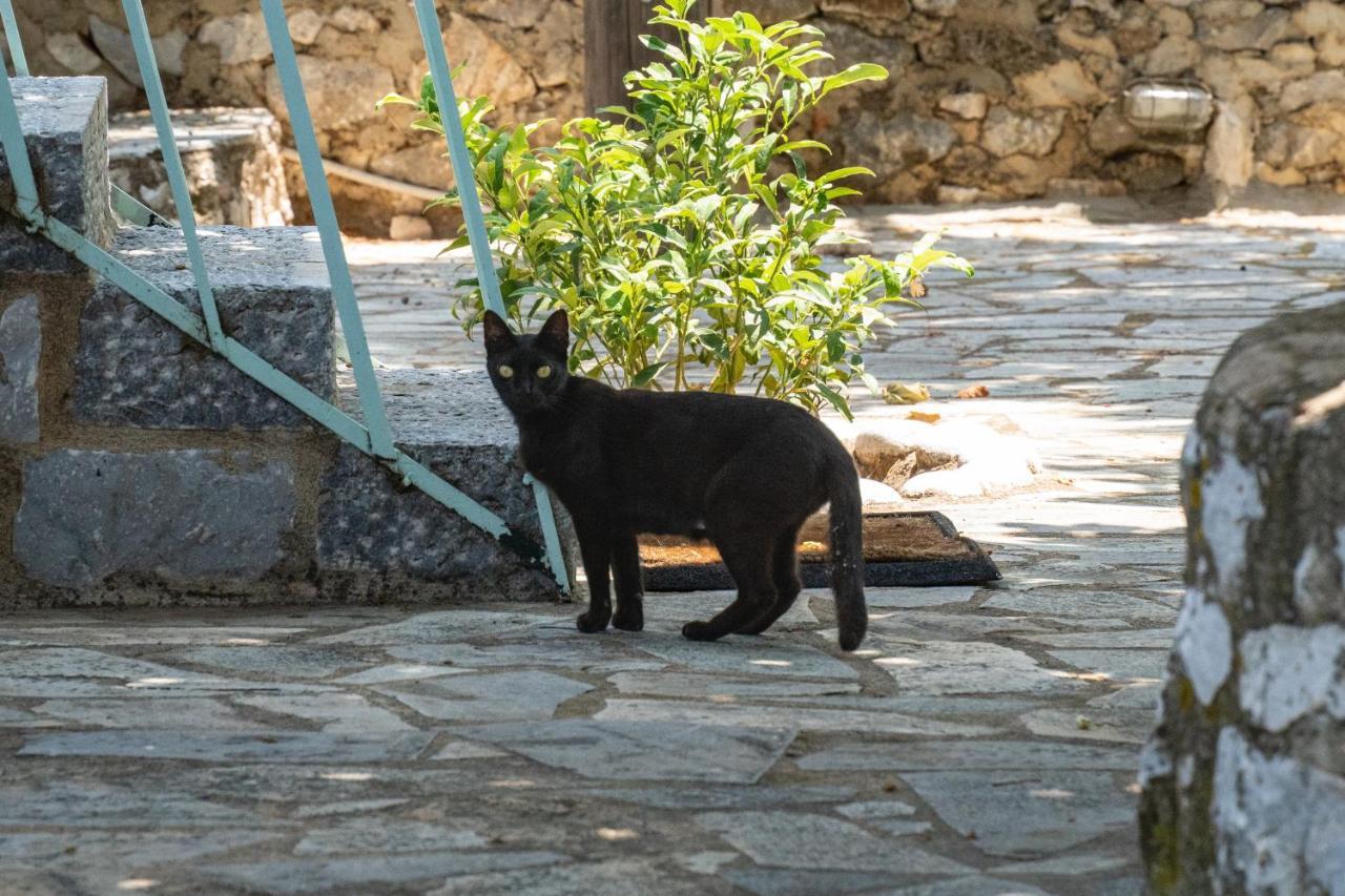 Tranquil Stone Garden House Villa Kalos Dış mekan fotoğraf